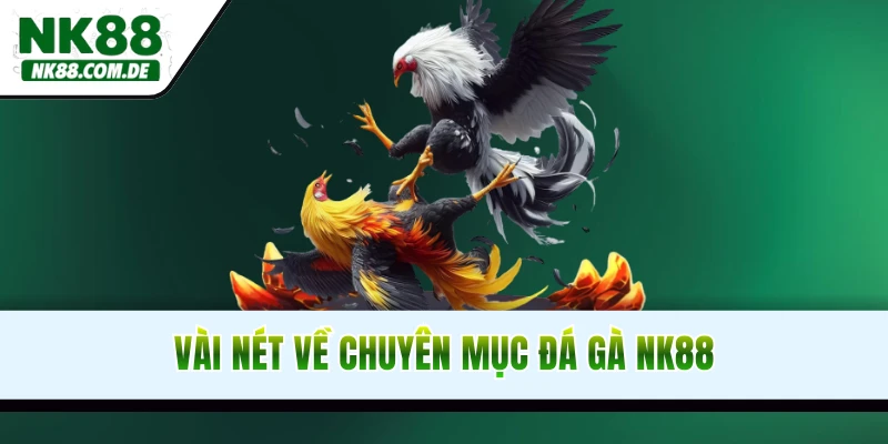 Vài nét về chuyên mục đá gà NK88